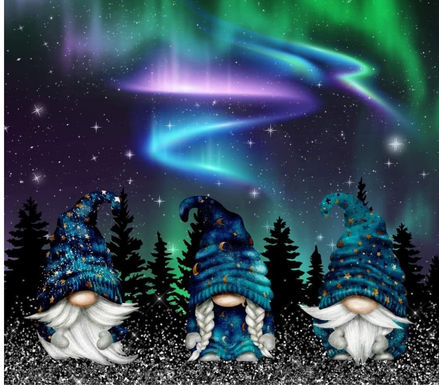1035 #NorthernLights #Gnome Tumbler